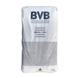BVB COCO PREMIUM AIR BLEND 70L – SA & NT