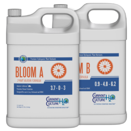 CULTURED SOLUTIONS BLOOM A/B