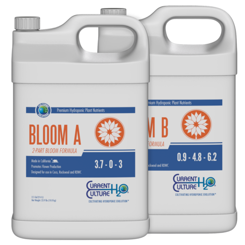 CULTURED SOLUTIONS BLOOM A/B