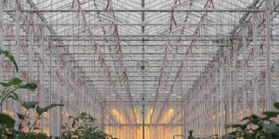 Read more about the article Dialing In Your Greenhouse