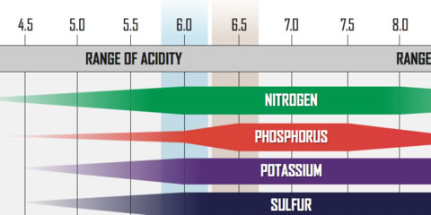 Read more about the article Customer Question – What’s this pH all about?