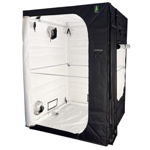 PINELAB TENT 5x5